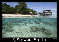 this shot was taken during a surface interval at sipadan.... by Stewart Smith 